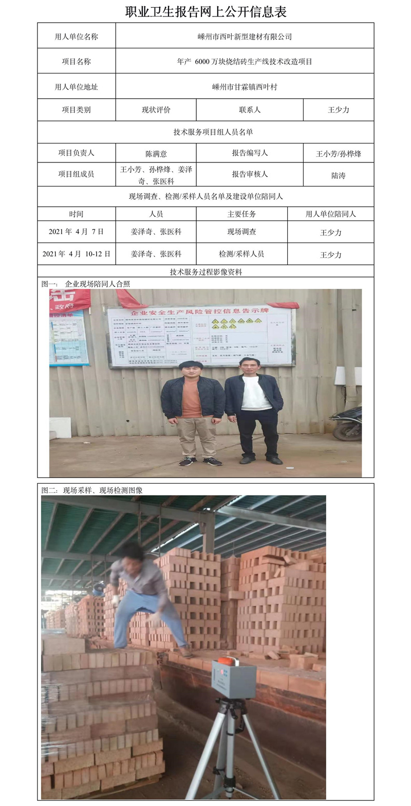 嵊州西葉新型建材有限公司職業(yè)衛(wèi)生報(bào)告網(wǎng)上公開信息表.jpg