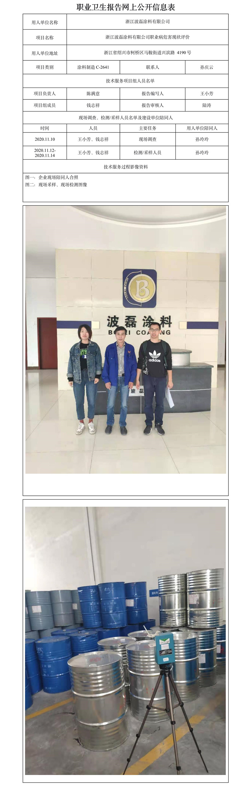 浙江波磊涂料有限公司職業(yè)病危害現(xiàn)狀評價.jpg